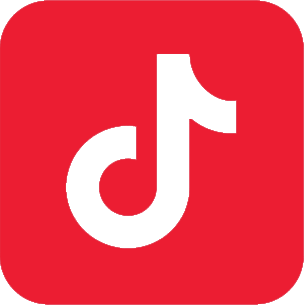 tiktok icon